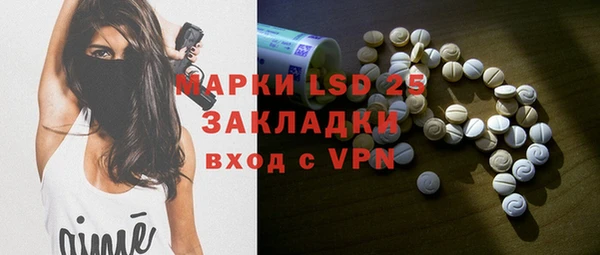 шишки Баксан