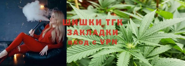 шишки Баксан