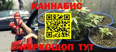прущие крисы Волжский