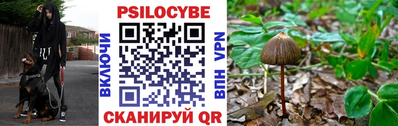 Псилоцибиновые грибы GOLDEN TEACHER Десногорск