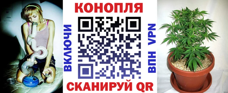 Бошки Шишки OG Kush  Десногорск 